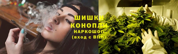 ПСИЛОЦИБИНОВЫЕ ГРИБЫ Нефтекумск