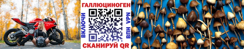 хочу наркоту Красноармейск Галлюциногенные грибы MAGIC MUSHROOMS
