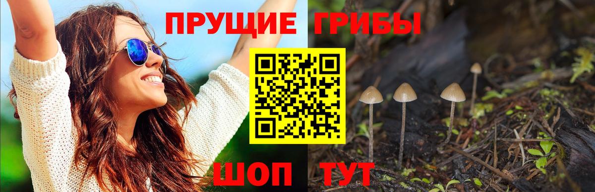 Красноармейск  Псилоцибиновые грибы мицелий  Вход с VPN 