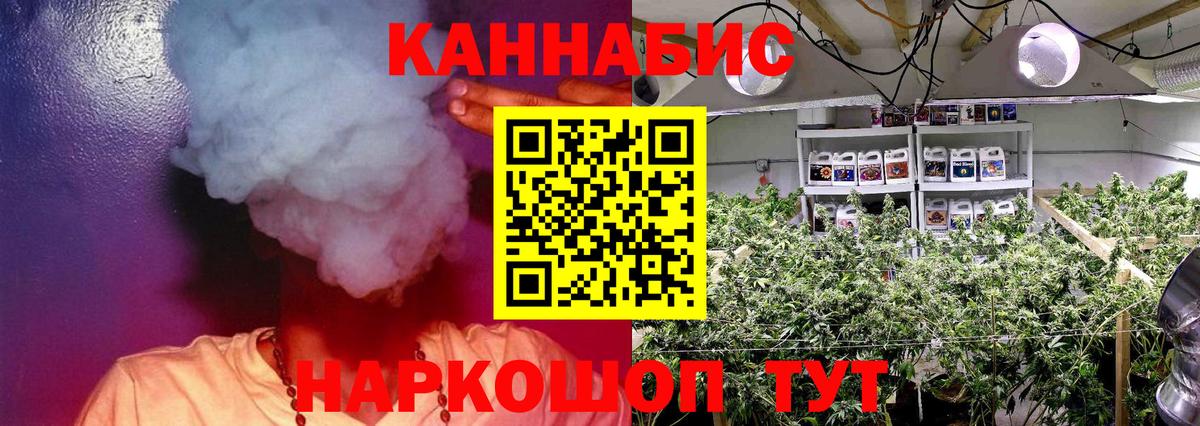 Шишки марихуана планчик  Каннабис Bruce Banner  Красноармейск  Вход с VPN  Бошки Шишки Bruce Banner 